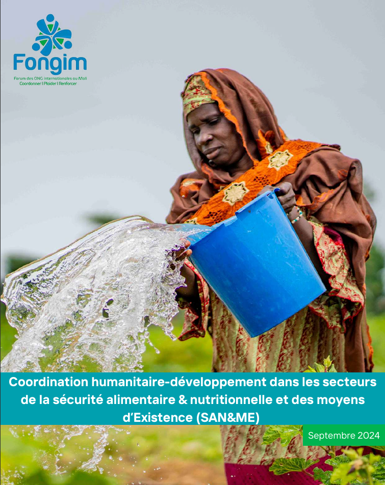 Rapport d'Etude SAN&ME FONGIM 2024